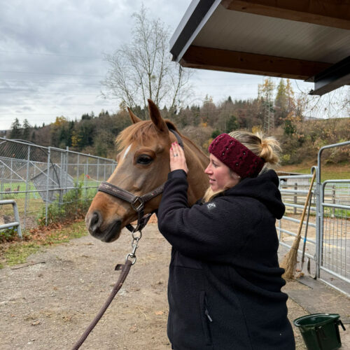 galerie-spuersinn-main-01